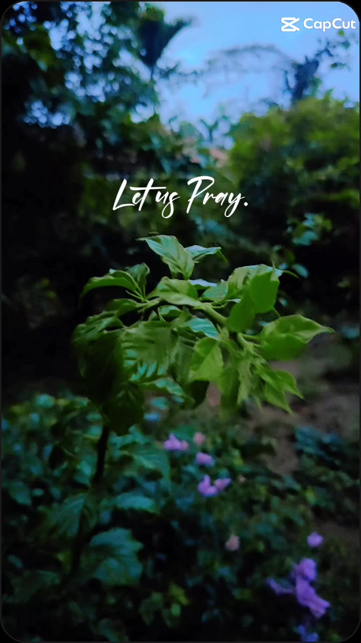 @Lhabz💜🥀"