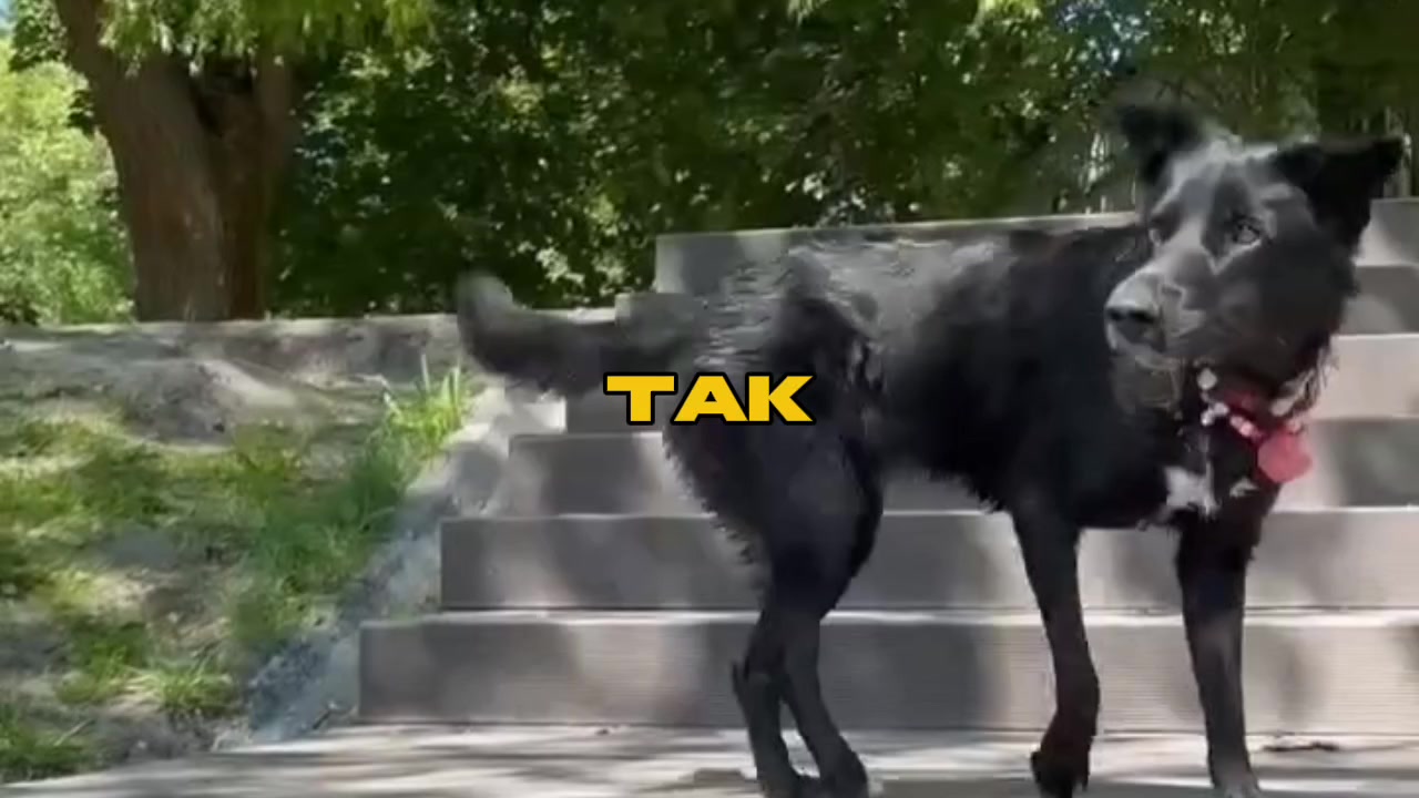 @𝙏𝙚𝙮𝙖🥏🦦