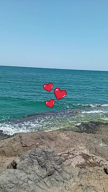 @Elif Kaymakci