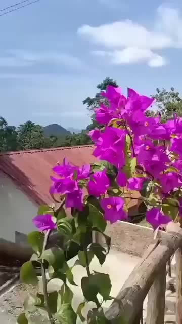 @penginapan ciater subang