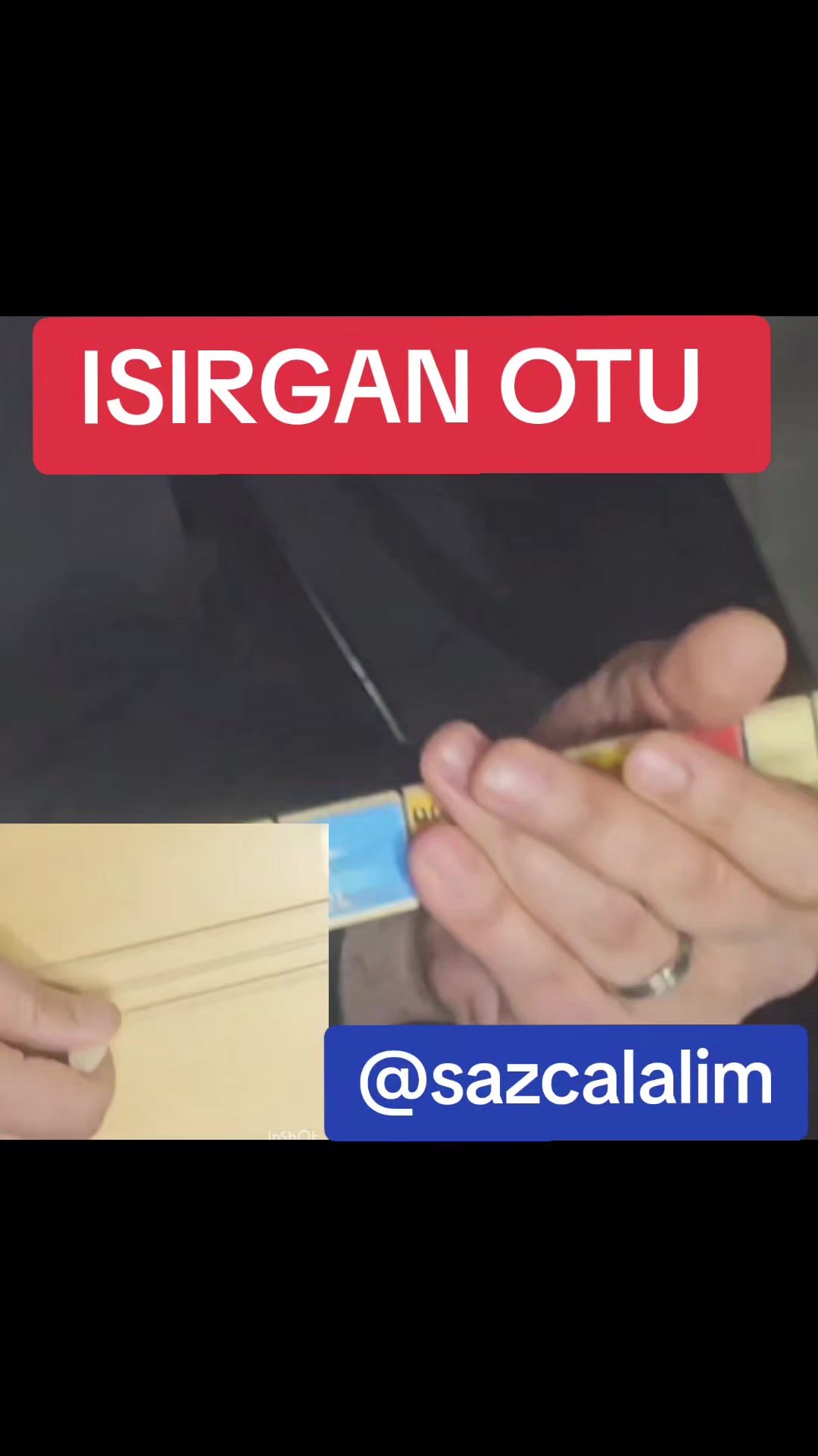 @sazcalalim