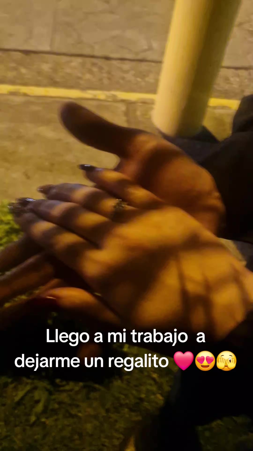 @Adri Castro🇨🇷👩🦰