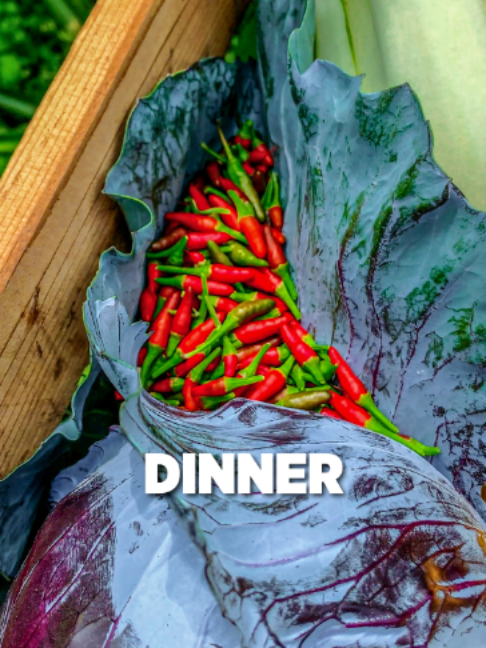 @Planted in the Garden