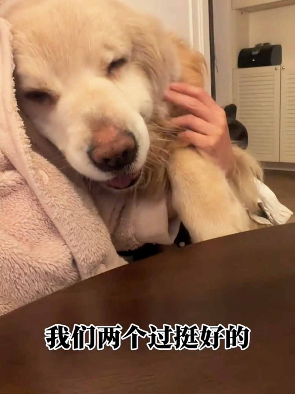 @歐復生 (妖狐）