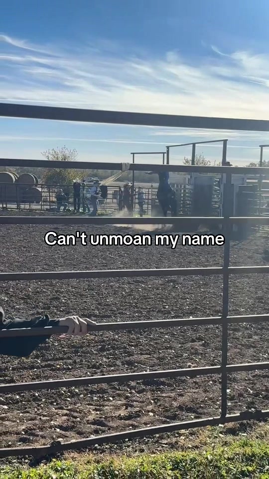 @milkmanbandit