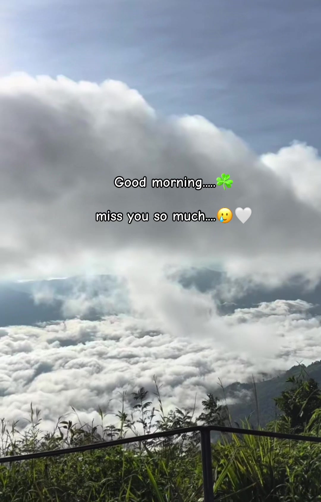 @â¤ď¸đĽHONEYâ¤ď¸đĽ