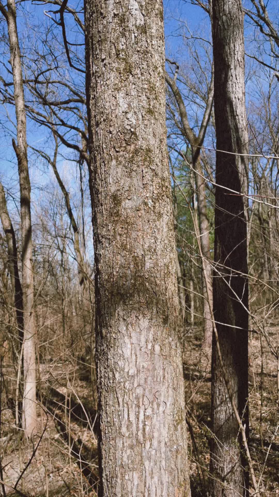 @&bull; A &bull;