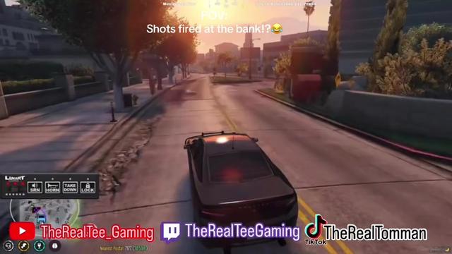 @TheRealTee
