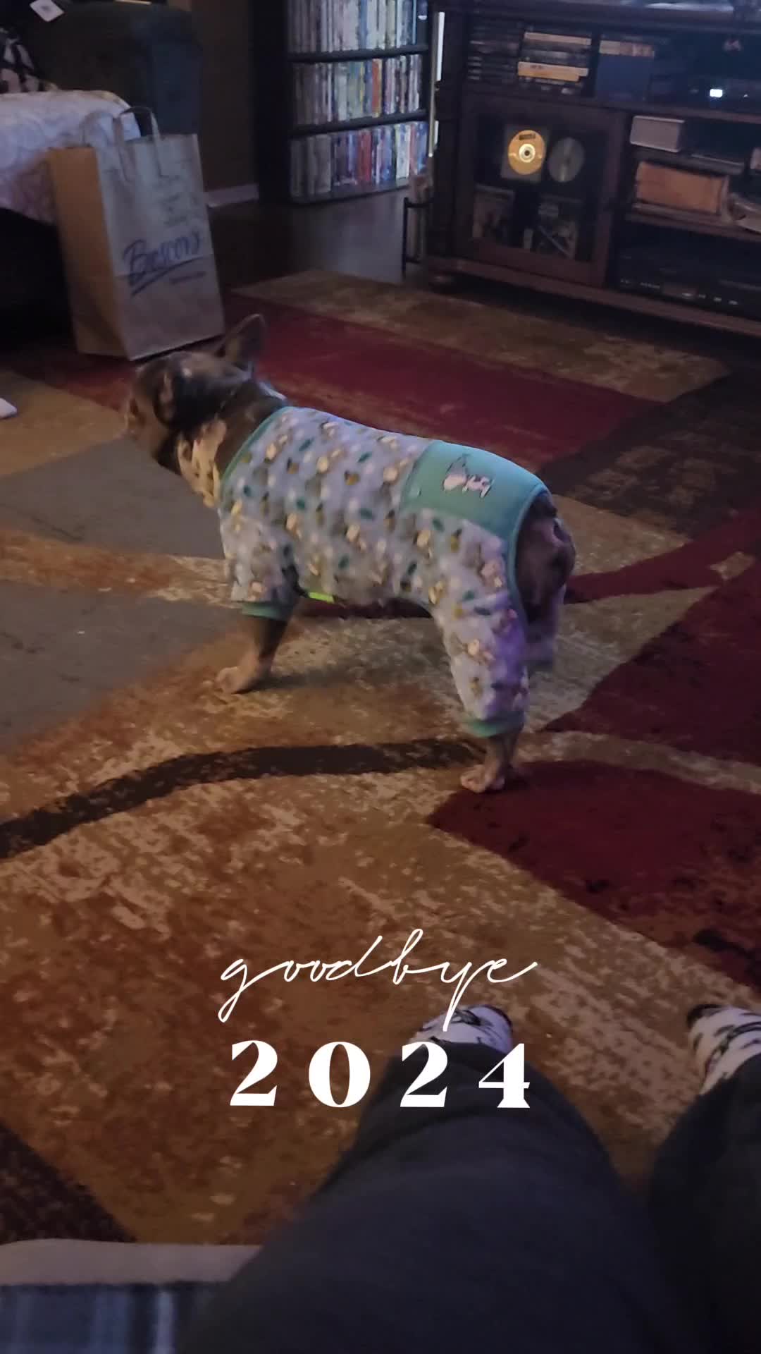 @Dexter207Frenchie