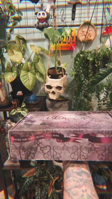@🗡️🌿📚Tex📚🌿🗡️