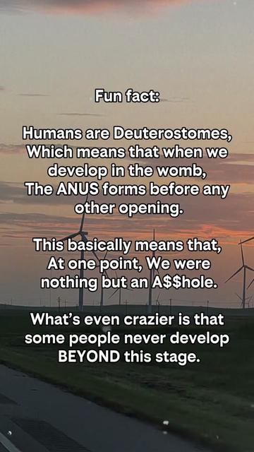@Kristi Davis