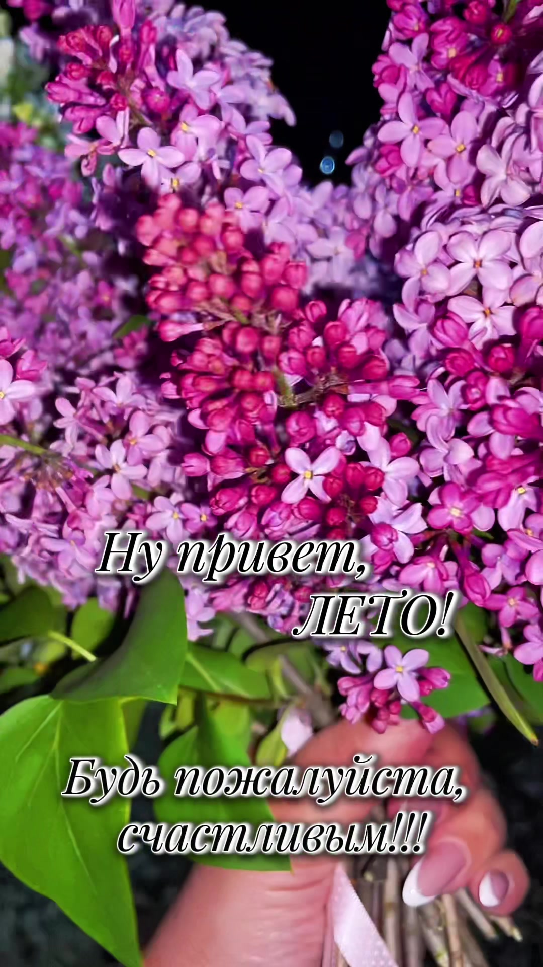 @🌸АнютаЯ🌸