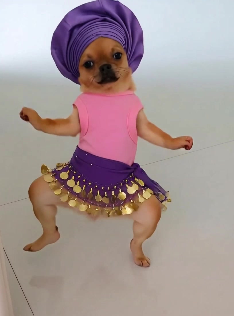 @Pawty