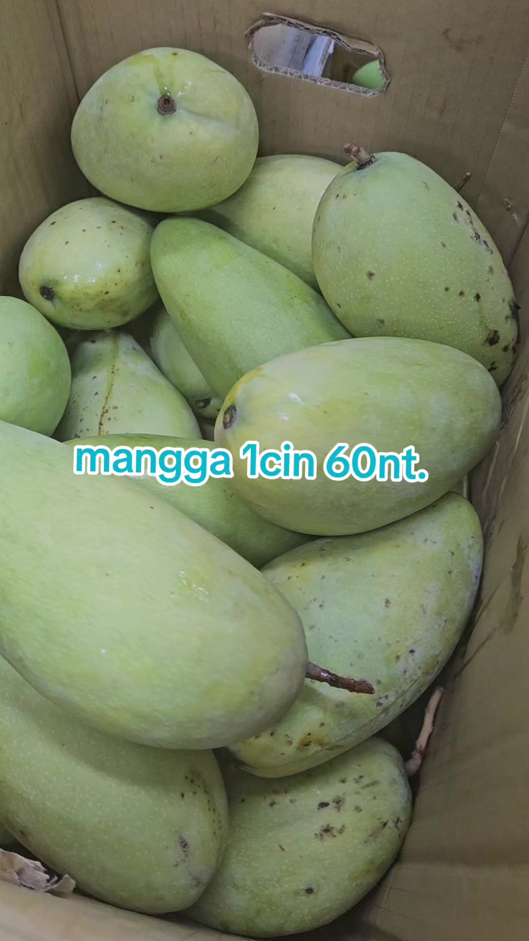 @Yuan su