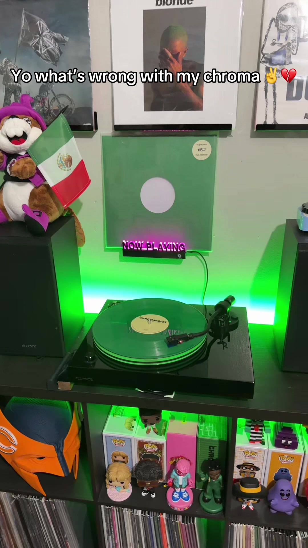 @icollectvinyl