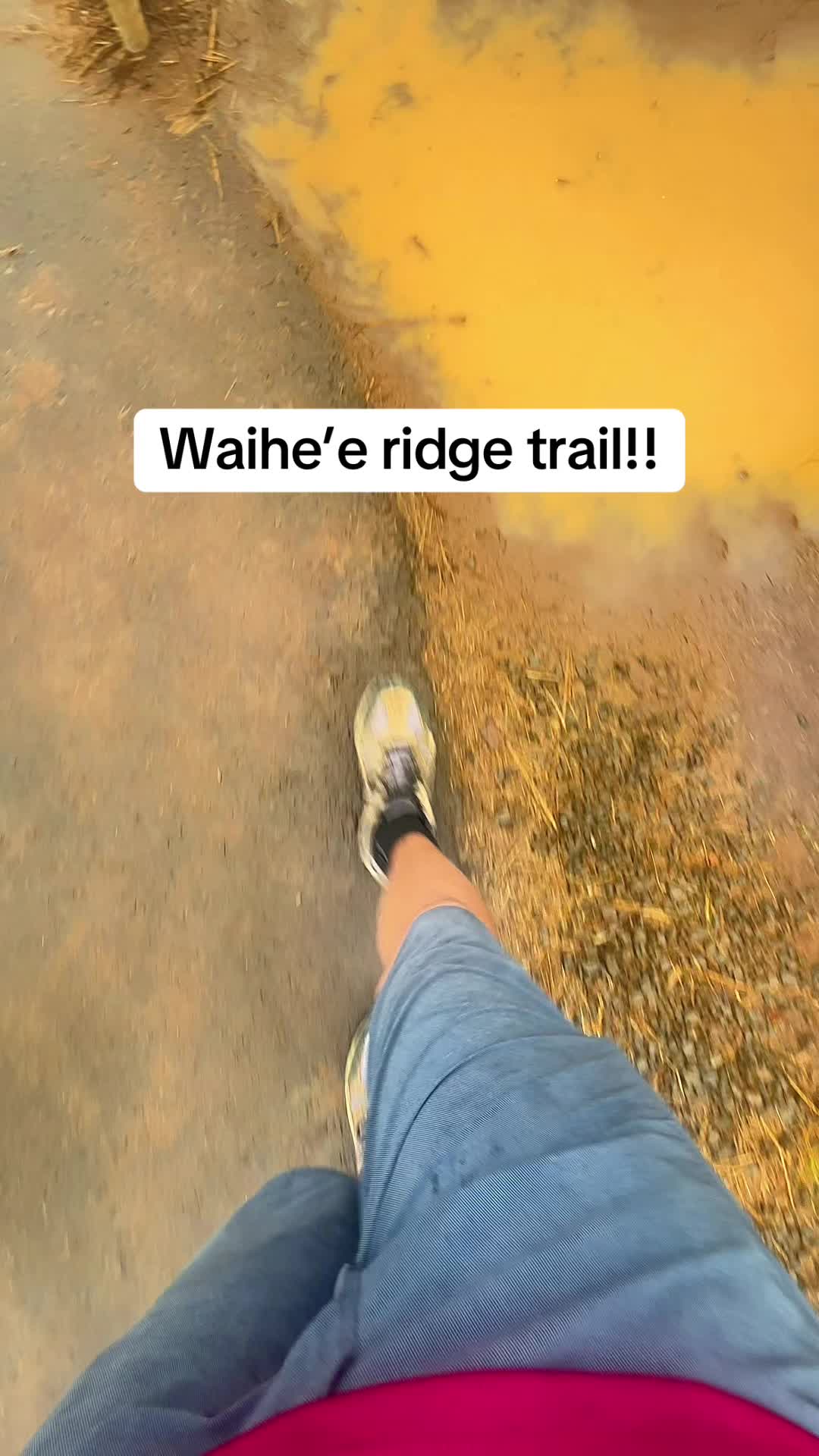 @travelingkw