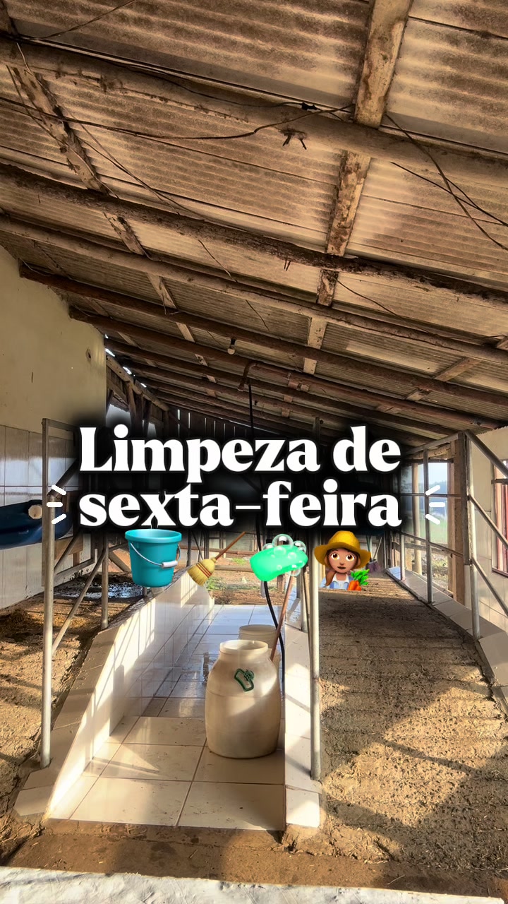 @Val&eacute;ria | Rotina | Queijos🧀🐄