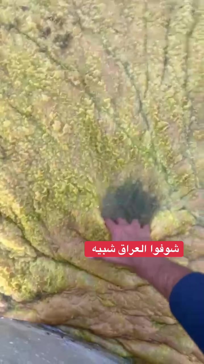 @صادق الشمري