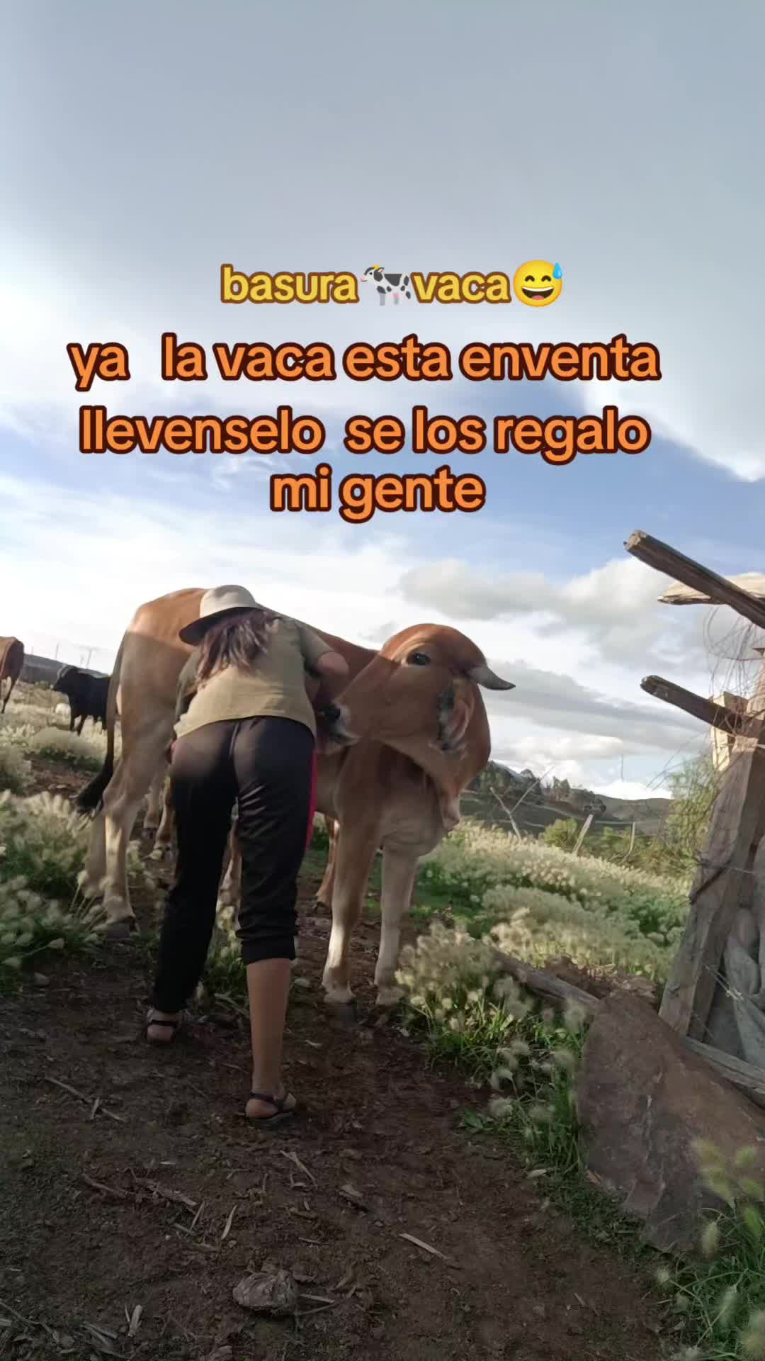 @Kuri🌲🐄🇧🇴