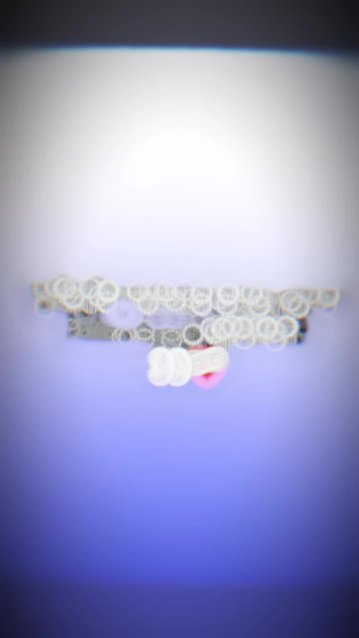 @đ§RINAđ§