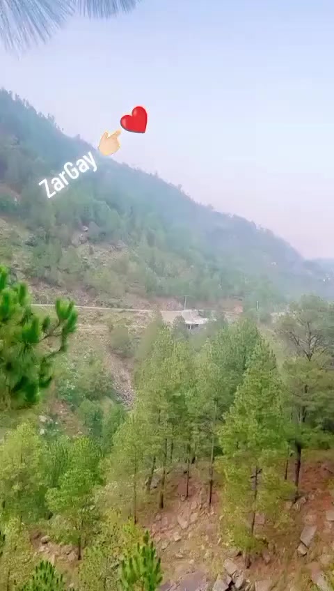 @꧁༺ 🫵 Wajid 🫰 صوابیوال 🫵 ༻꧂