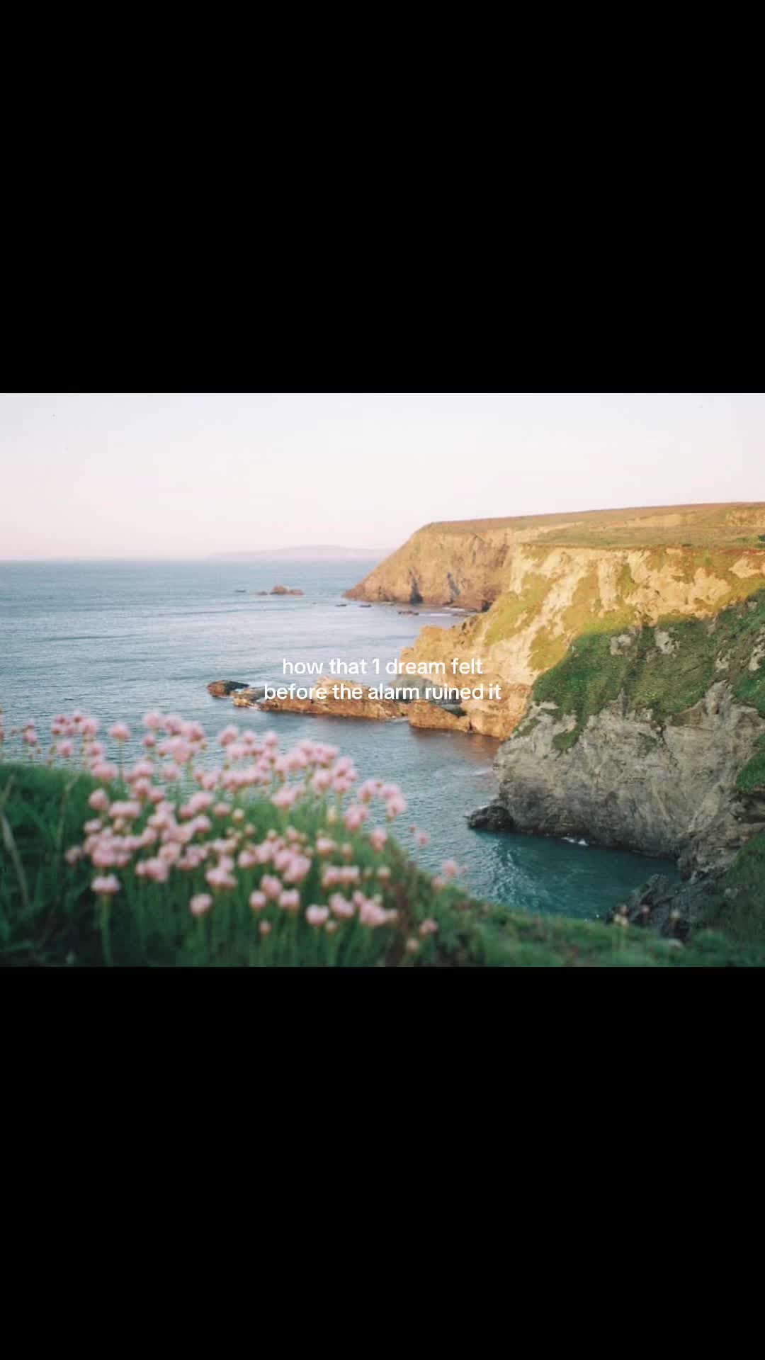 @chloe_inspo