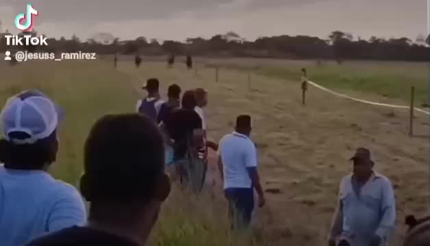 @JOSÉ DAVID