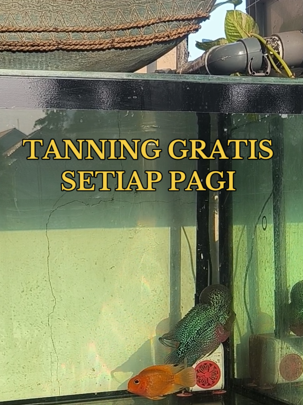 @Punya Namita