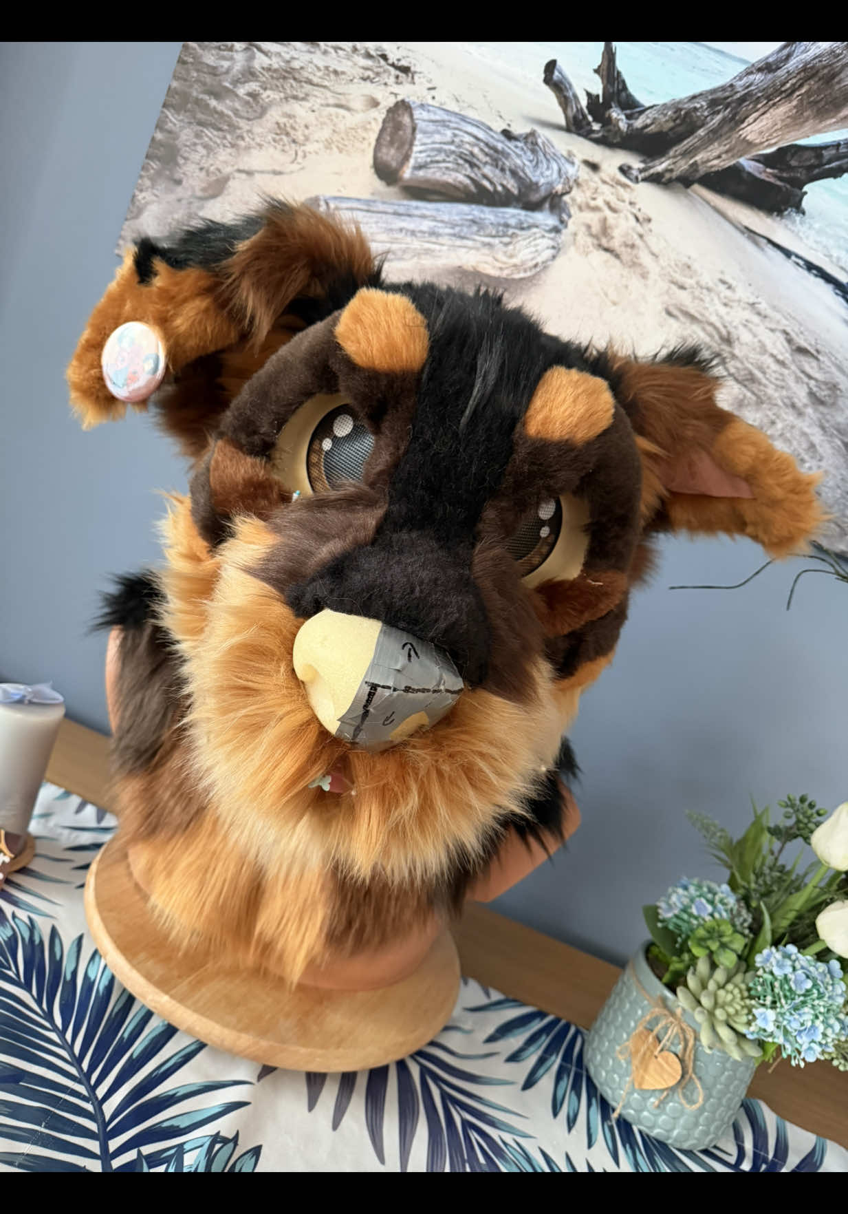 @CoverWithFur