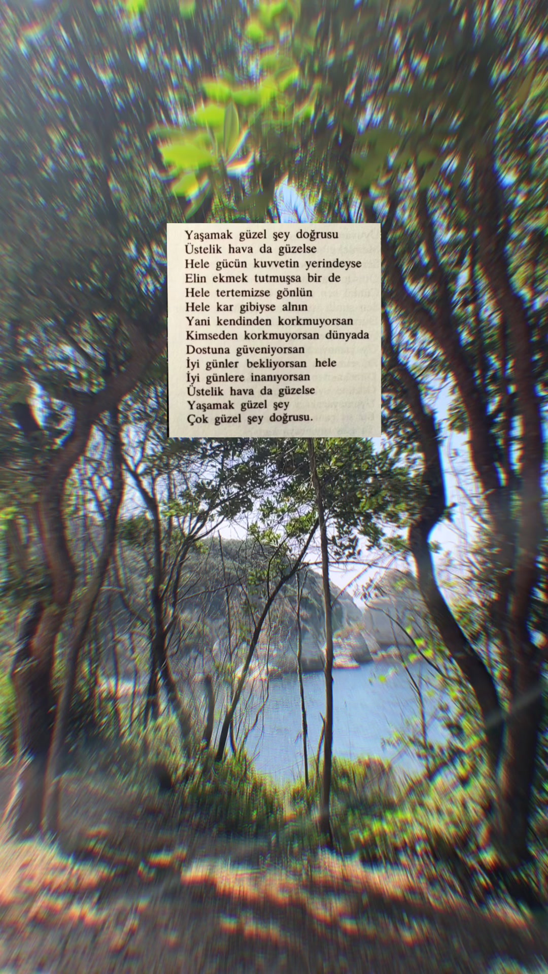 @C🧚🏻♀️