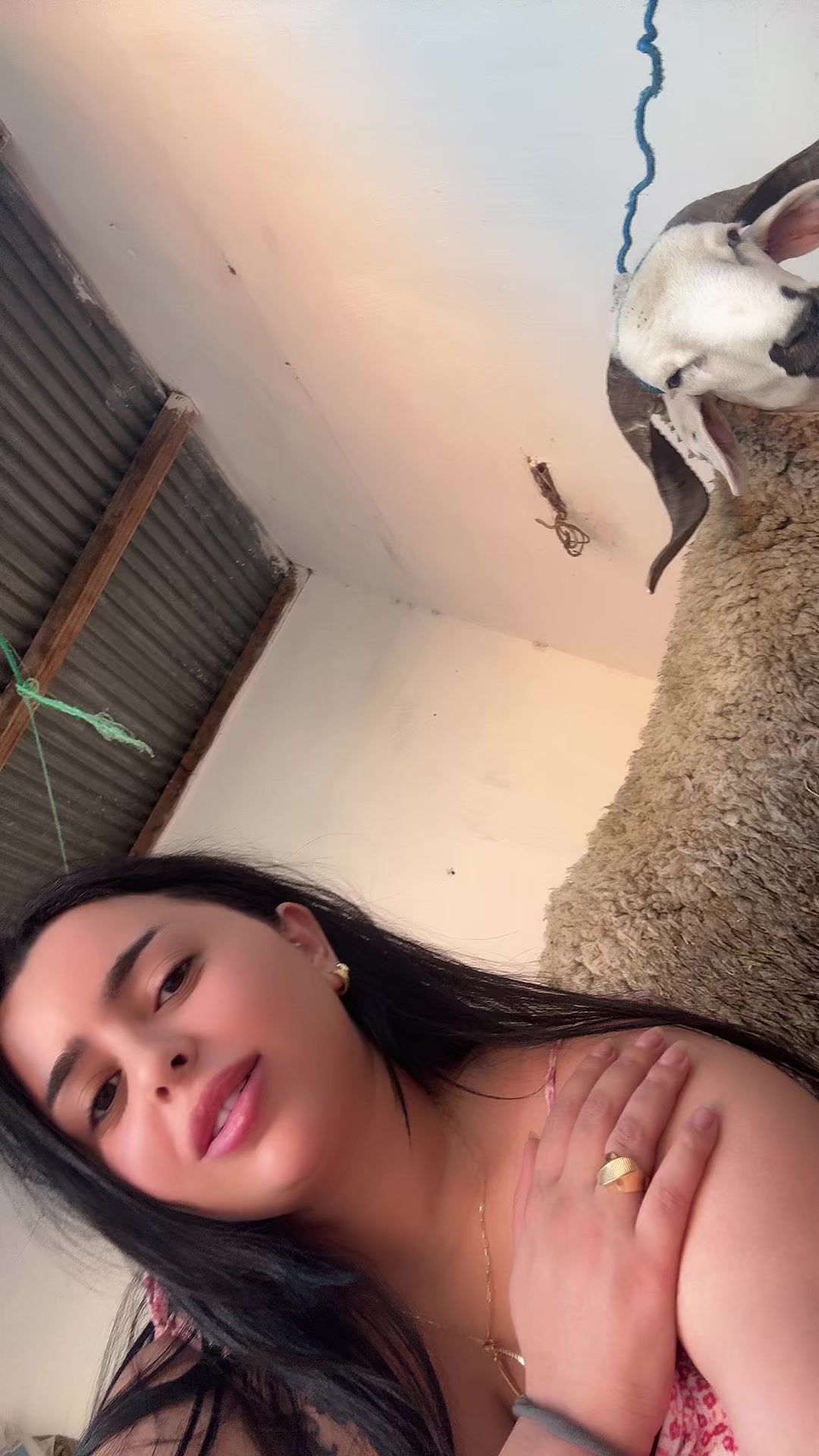 @Jihane brk
