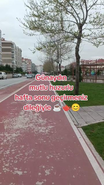 @🦂 GÜNEŞ 🦂