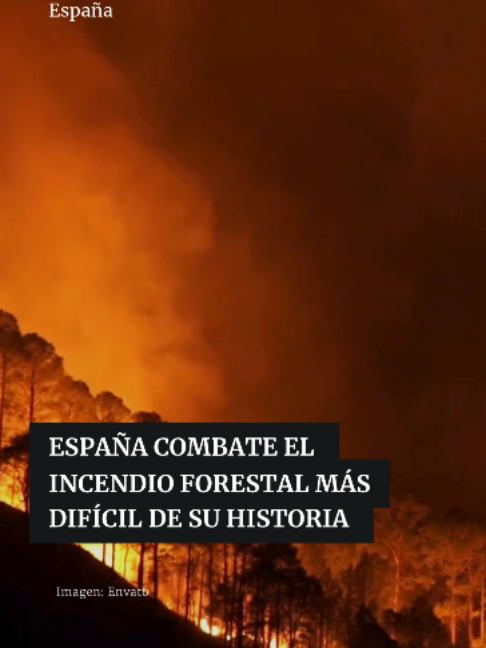 @Periódico Excélsior