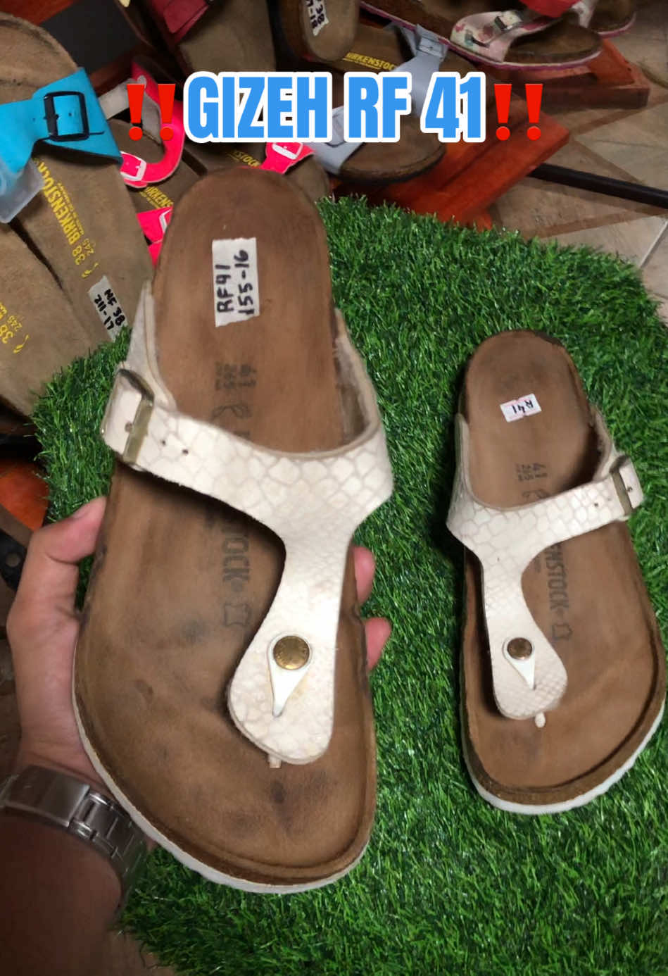 @DAILY BIRKS