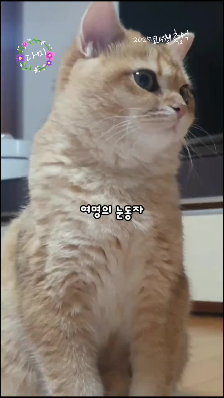 @올마인드