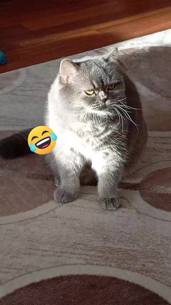 @evimizinbirtanesi