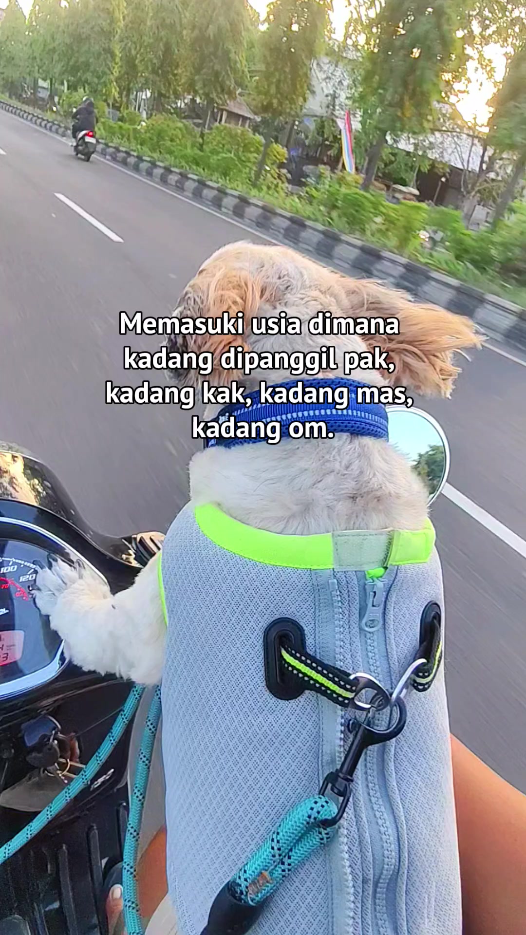@Si Cadel