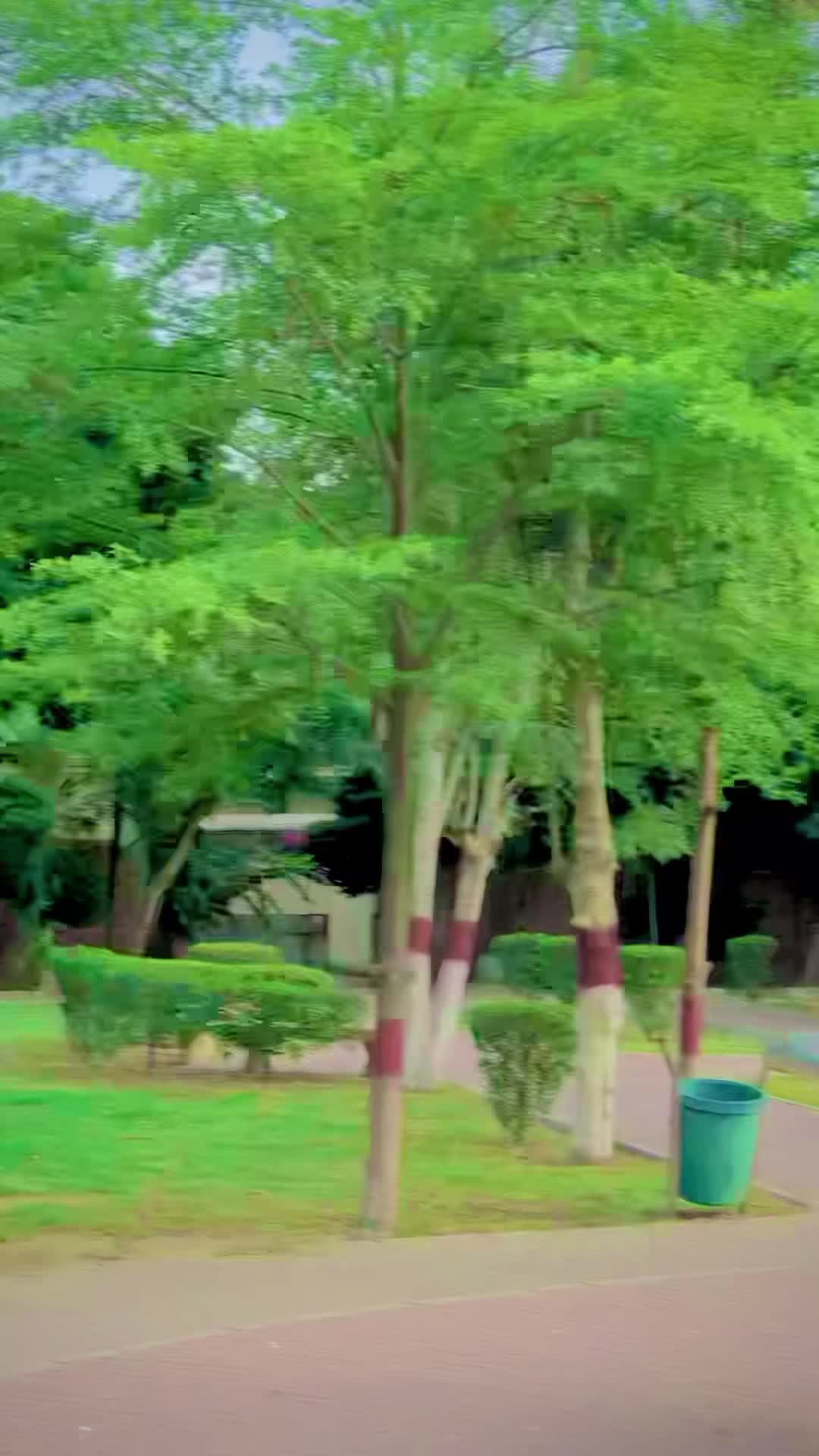 @Shera Khan Usman