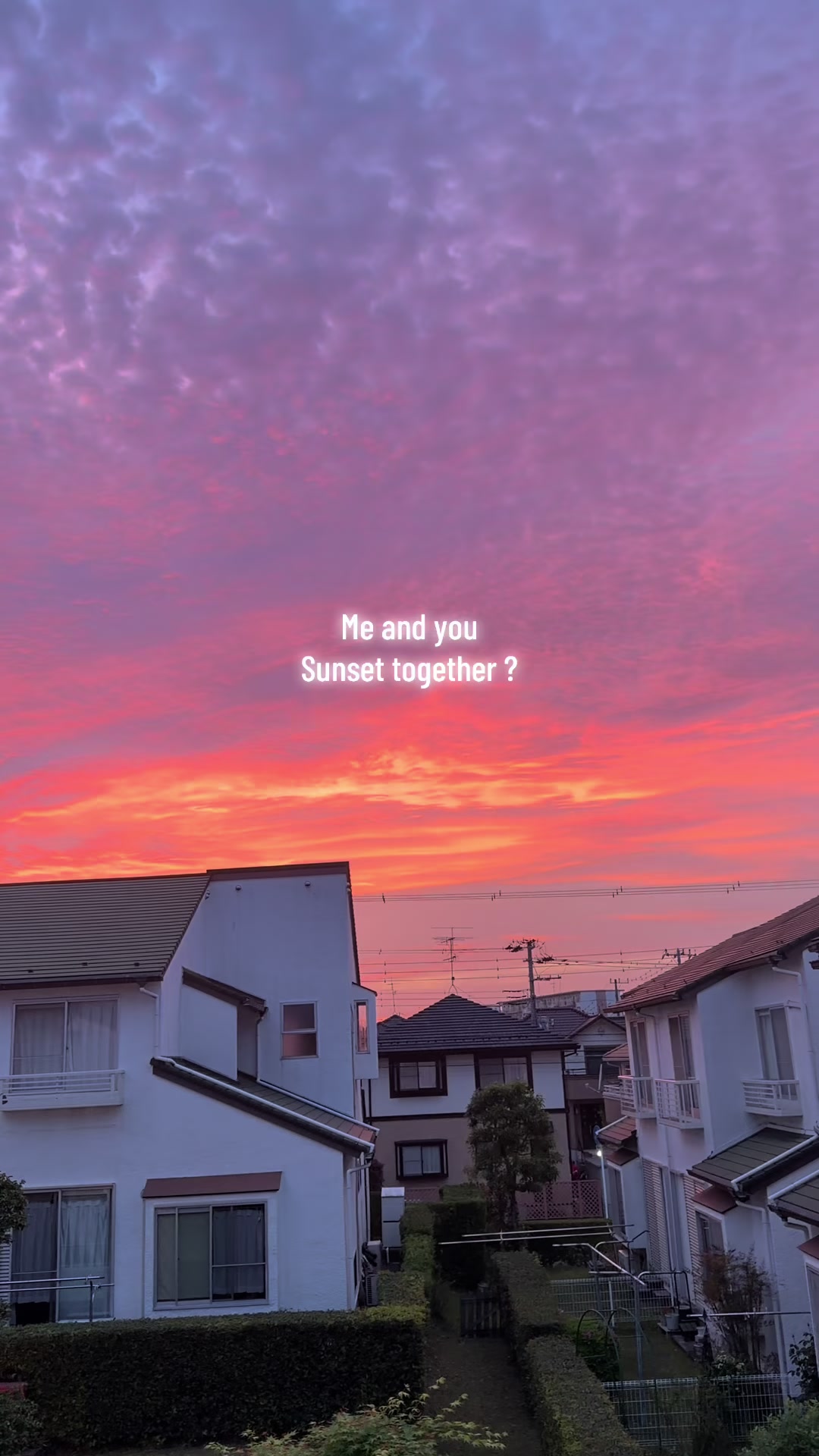 @Lily