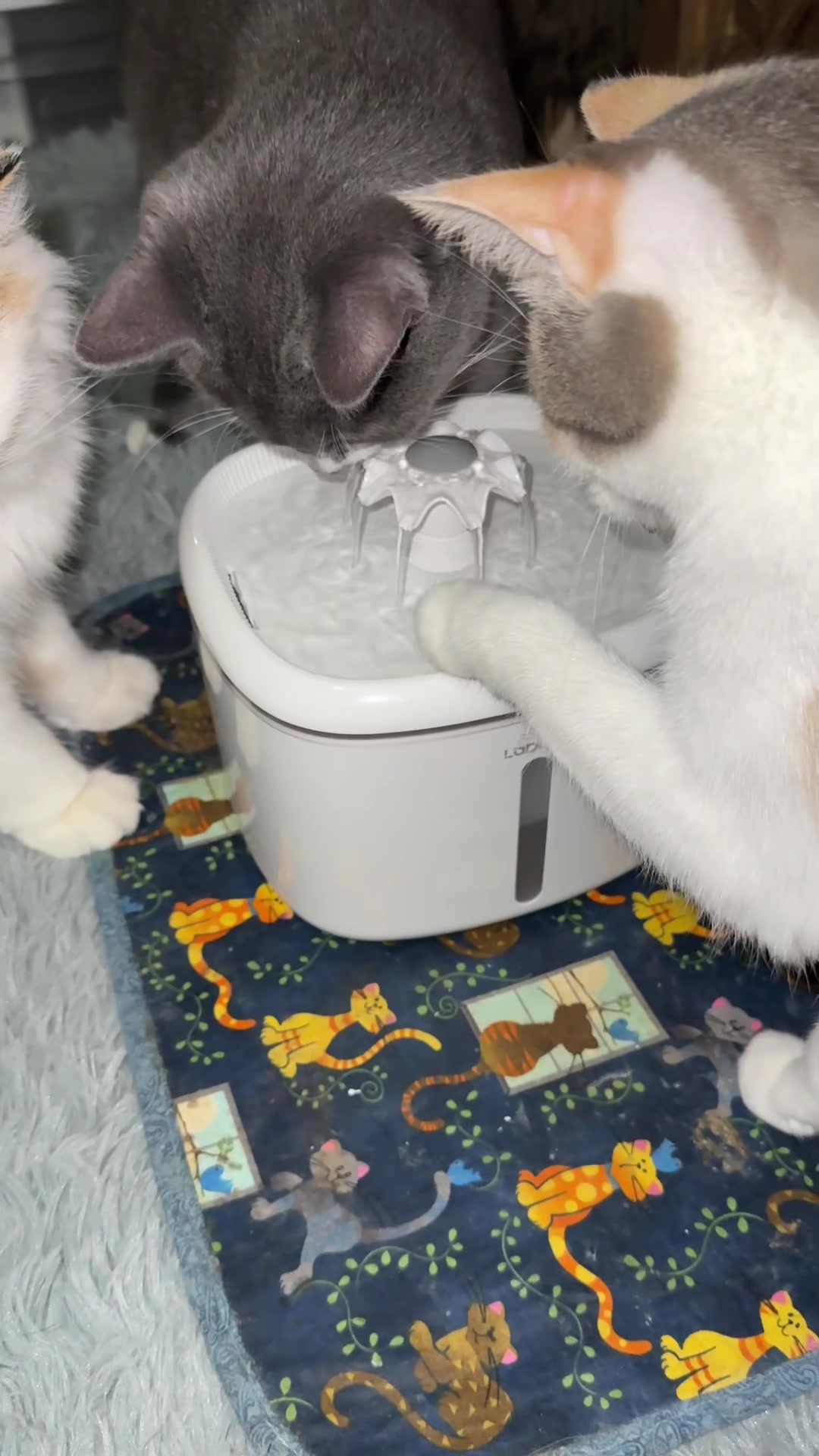 @CraftyLori🧵sews rite