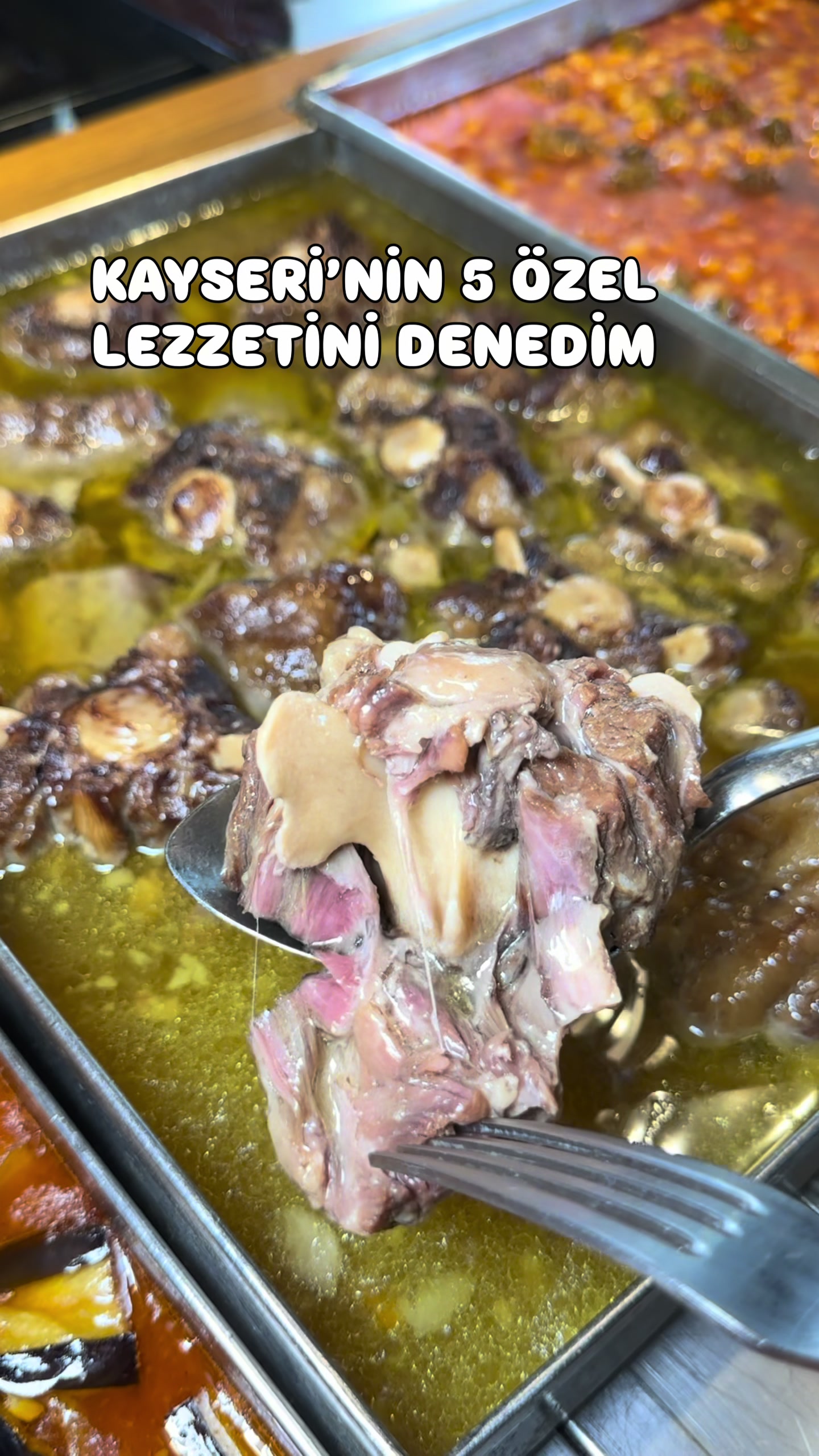 @meshuryemek