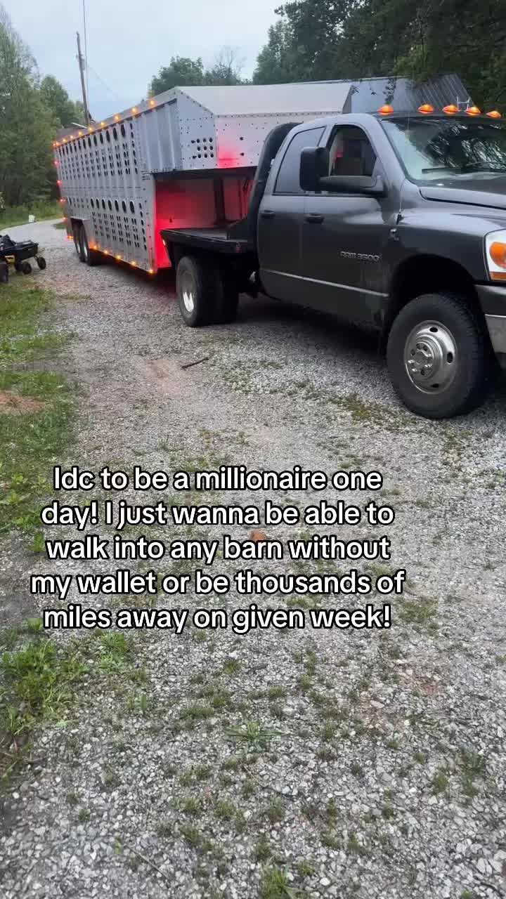 @tripleclivestock