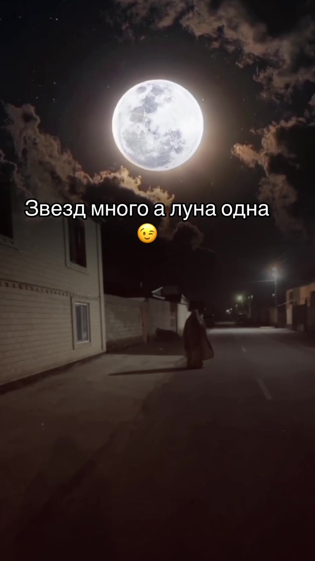 @AMIRA 86 REG