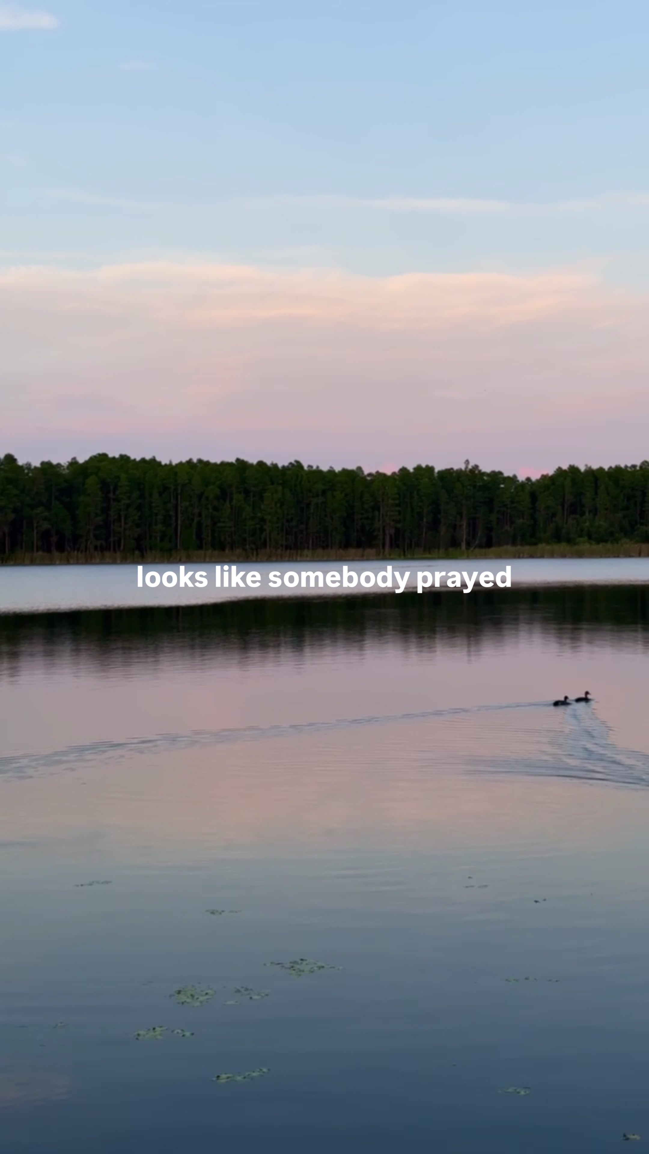 @Crowder