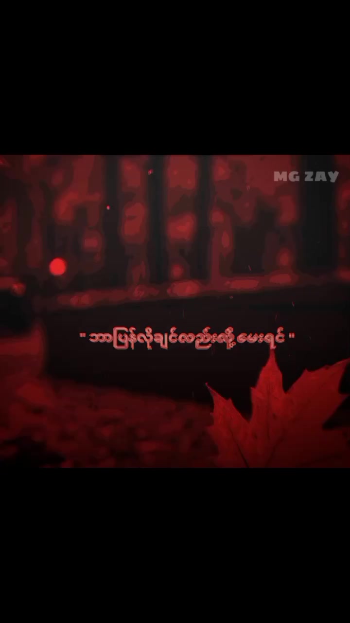 @MG ZAY