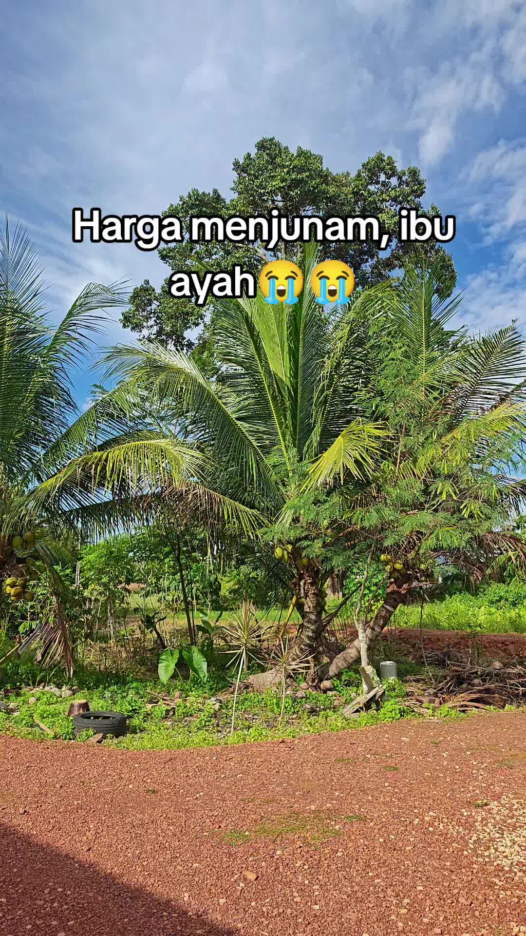 @Diary Jannah