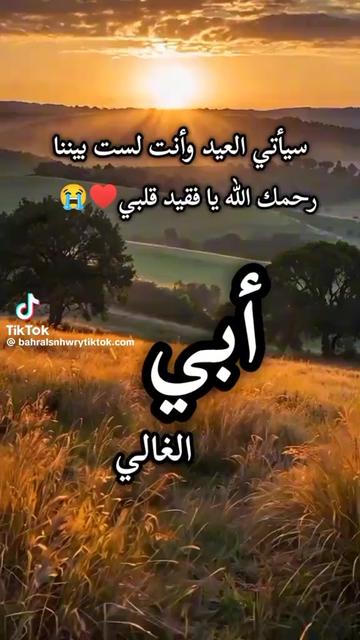 @ساره مشقي