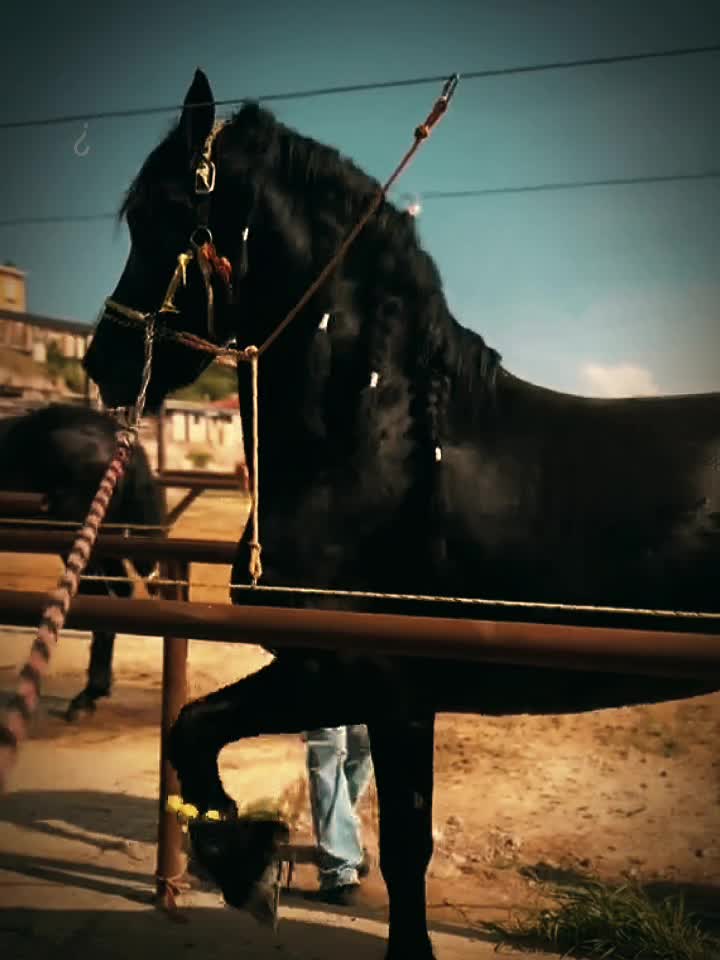 @ganader&iacute;a🐮 y caballo🐴☠️