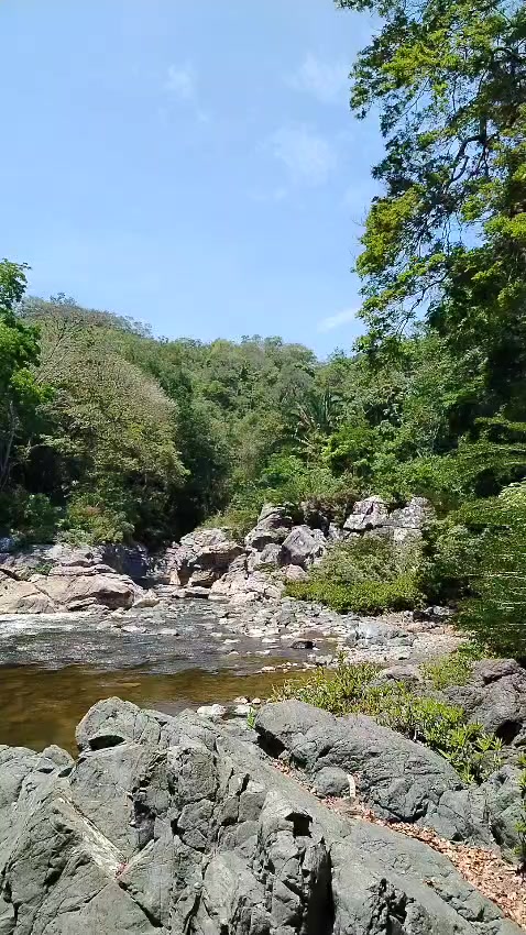 @FansAr 🇬🇹