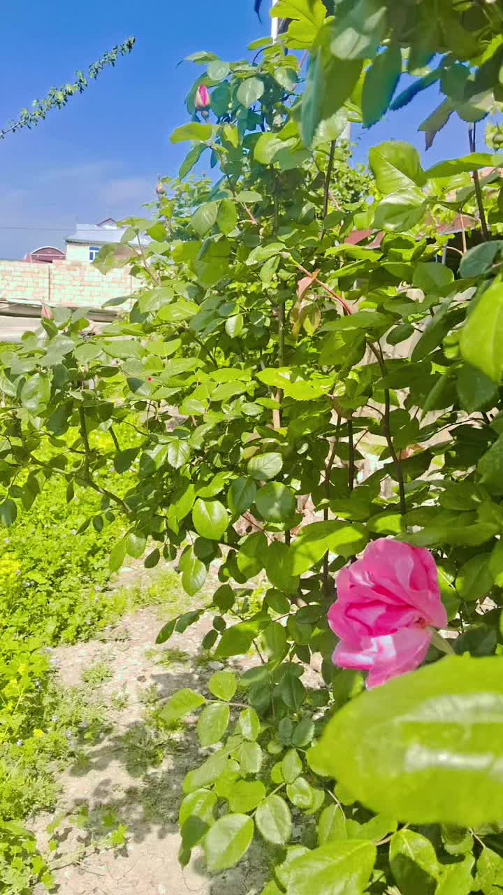 @𝐒𝐄𝐑𝐗𝐀𝐍_𝐎97